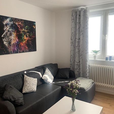Grosse Moderne Ferienwohnung, Zentrale Ruhige Lage Kassel Kültér fotó