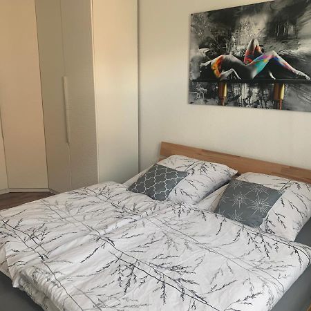 Grosse Moderne Ferienwohnung, Zentrale Ruhige Lage Kassel Kültér fotó